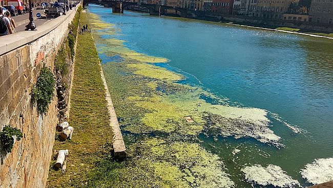 le-lenticchie-dacqua-colorano-larno-di-verde