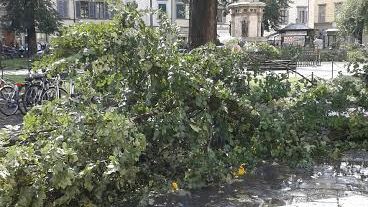 Maltempo in Toscana, cambiamenti climatici saranno frequenti