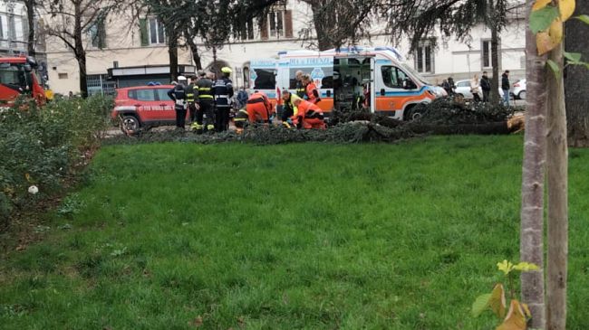 Ramo caduto in piazza Indipendenza: ferito un vigile del fuoco