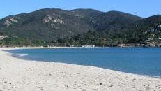 Generatori eolici sul Monte Tambone all'Elba?<BR>Domani Greenpeace in un supermercato fiorentino