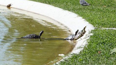 Lunedì 28 febbraio: Giornata della lentezza