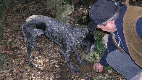 Tartufo bianco: a San Miniato, festa di sapori e solidarietà