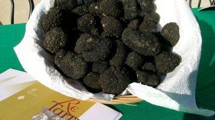 Re Tartufo venerdì 7 e sabato 8 dicembre alla Villa del Mulinaccio di Vaiano