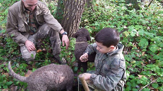 La 28° edizione della Mostra Mercato del Tartufo Bianco delle Crete Senesi