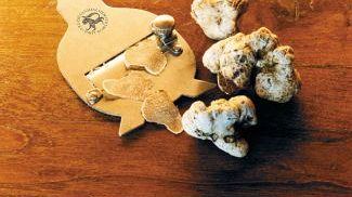 A San Miniato regna il Tartufo Bianco