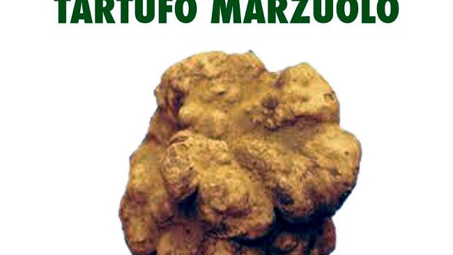 Marzo, è tempo di tartufo! Una sagra e non solo