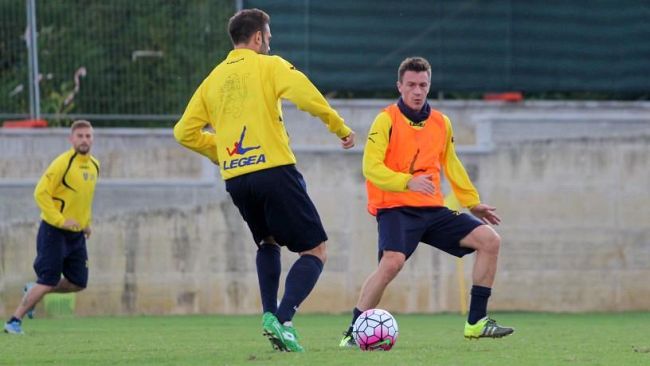 Viola al bivio in Ciociaria