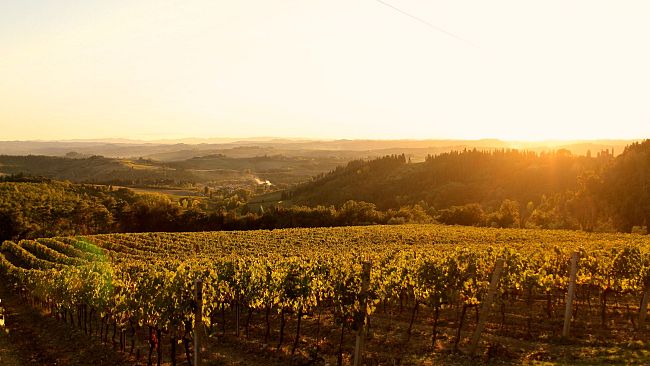 Un’estate da degustare con La Leccia