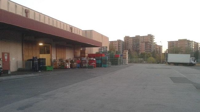 Nuovo Stadio, via la Mercafir: operatori in imbarazzo