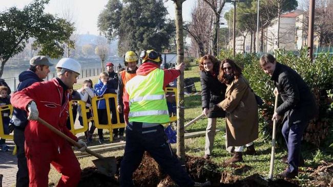 Lungarno, tornano gli alberi sradicati dal downburst del 2015