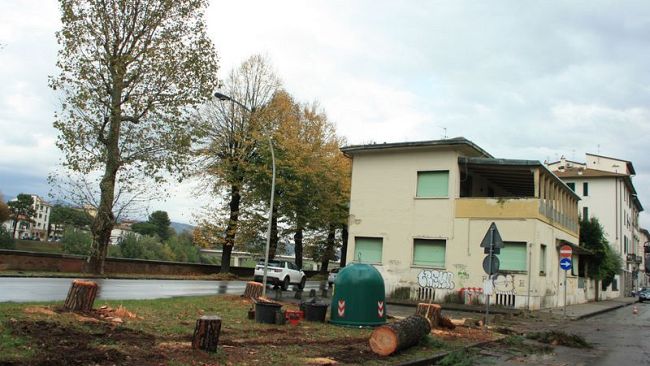 Tramvia 3.2.2. verso Rovezzano, polemica sugli alberi 
