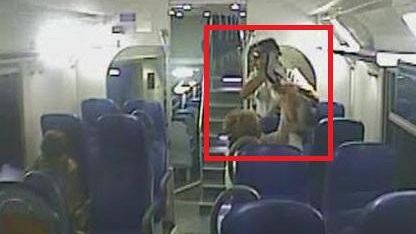 Santa Maria Novella furto sul treno ripreso da telecamere - Foto -
