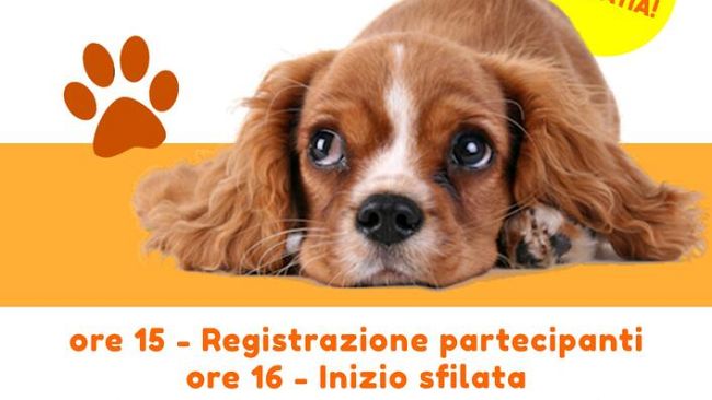 Il cane più simpatico: concorso gratuito a Firenze