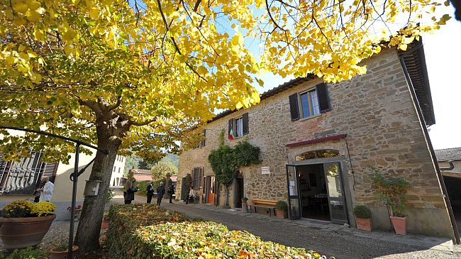 Fattoria Santo Stefano: vino, olio e libertà