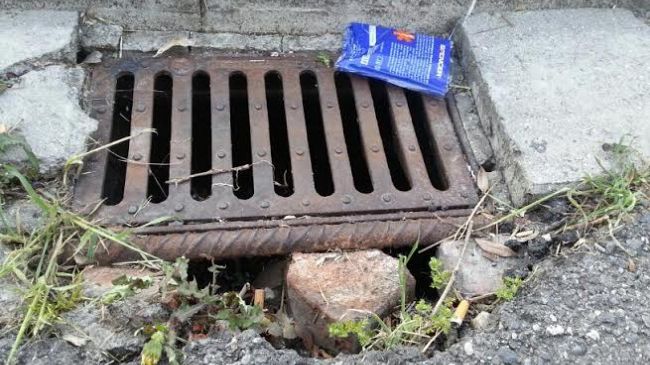 Prevenzione contro le zanzare a Firenze 