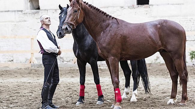 Teatro: evento “equestre, barbarico, montano” di Giovanni Lindo Ferretti