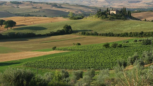 Orcia Wine Festival: dal 22 al 25 aprile la 12^ edizione