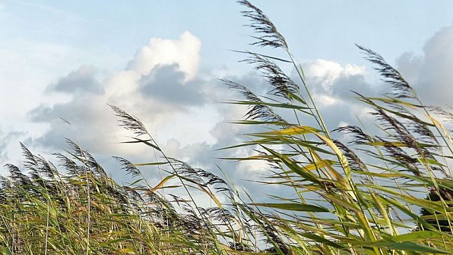 Vento e temporali: da stasera scatta l'allerta gialla