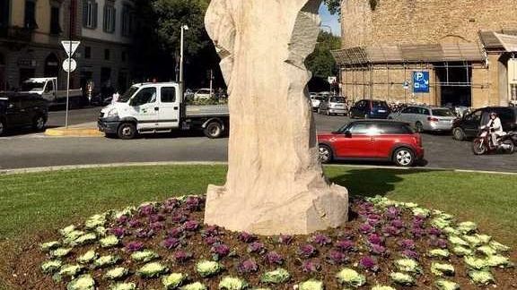 Cavoli ornamentali: a Firenze arriva l'inverno