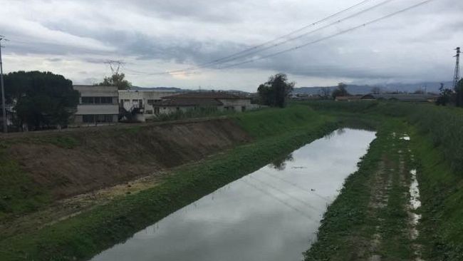 Pit Piana fiorentina: ecco come cambia l'agricoltura a nord-ovest di Firenze