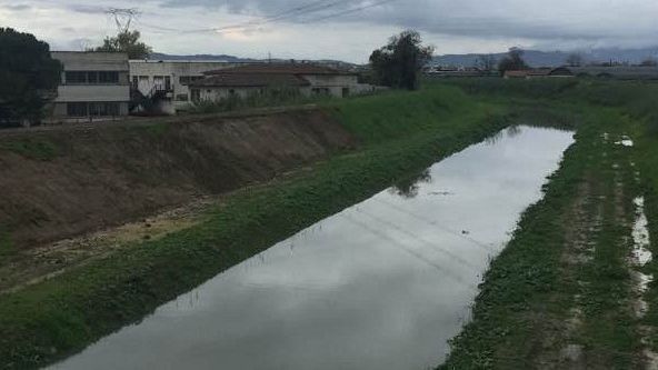 campi-ritorna-la-meglio-genia