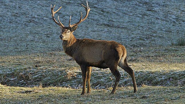 Un’escursione nella notte? Si può