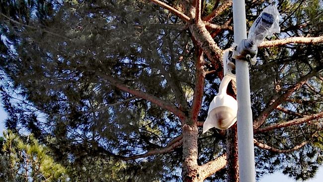 Galluzzo, spuntano le telecamere in viale Tanini