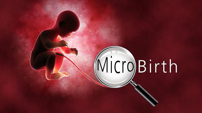 Cinema: a Odeon Firenze la prima nazionale di Microbirth