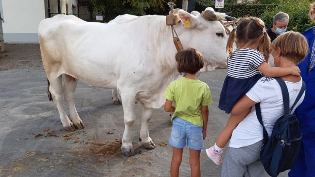 torna-lantica-fiera-di-lastra