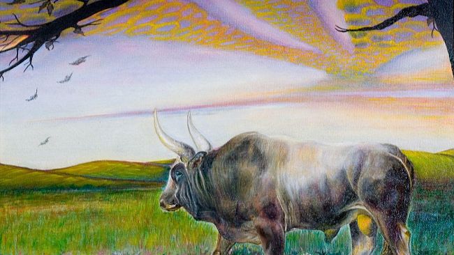 b112021928-massi-in-mostra-con-l-essenziale-e-invisibile-agli-occhi