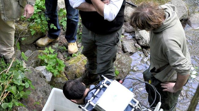Casentino, l'alta accademia tedesca degli studi ittiologici in visita nel parco