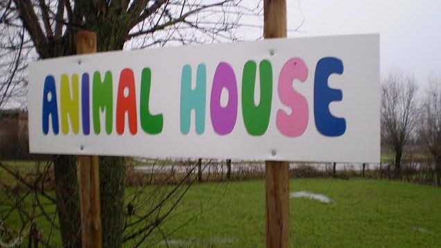 Cani, gatti, conigli: ad Animal House uno spazio dedicato al loro soggiorno