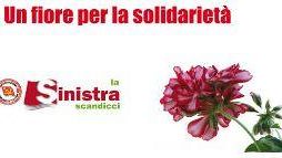 Cassintegrati ISI: Un fiore per la solidarietà