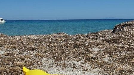 E-book reader in prestito in tutte le biblioteche della rete Rea-net