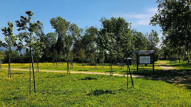 Carbon Neutral: quasi 1.800 nuove piante a Empoli