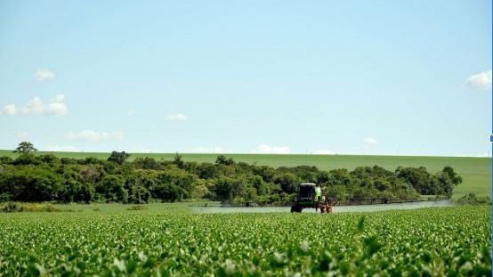 Agricoltura toscana in forte sofferenza