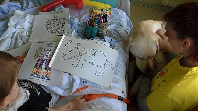 Curare con l'aiuto degli animali: nuovi corsi all'Università di Pisa