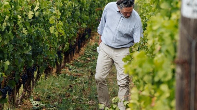 Versatilità e resilienza in una stagione di contraddizioni climatiche