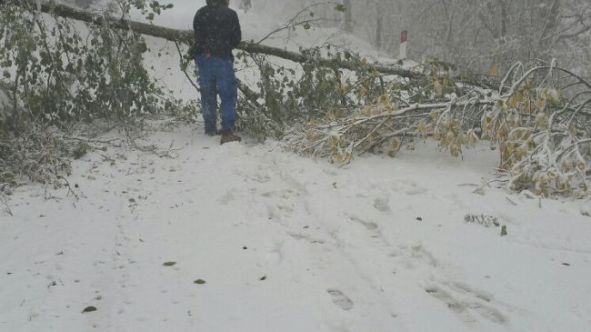 Pioggia: a Firenze continua l’allerta gialla