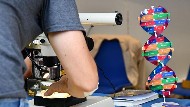 Notte ricercatrici e ricercatori: la serata di venerdì 27 settembre