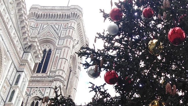 Natale a Firenze, quante novità: albero in piazza della Signoria