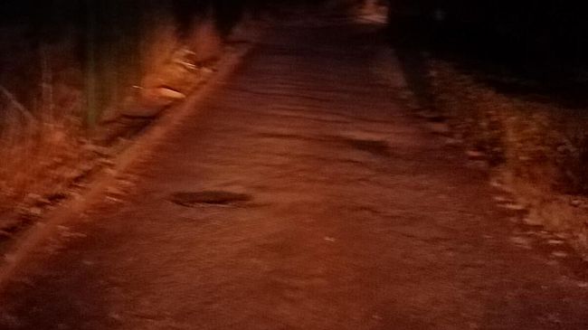 Prato: chiuso un locale notturno condotto da cittadini cinesi