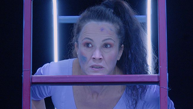 Pegaso d’oro a Dacia Maraini martedì 15 ottobre a Roma