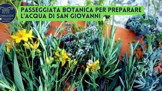 Passeggiata botanica per preparare l'acqua di San Giovanni