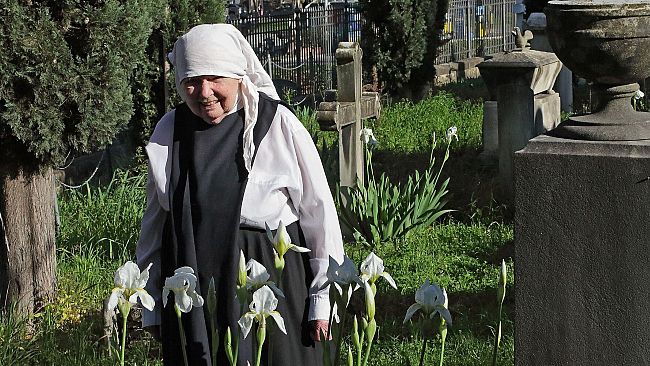 Suor Julia Bolton Holloway custode speciale dell'Iris florentina 