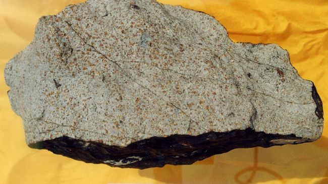 Elgoresyte, nuovo minerale scoperto in una meteorite