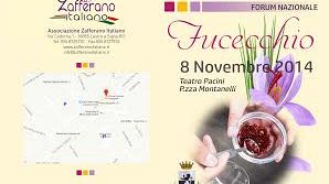 Zafferano, grande festa a Fucecchio