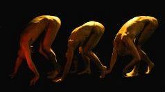 Derevo e Norberto Presta: <br>gli appuntamenti di questa settimana del Jack & Joe Theatre