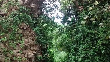 Crollano le mura dell’area storica alle Terme di Petriolo