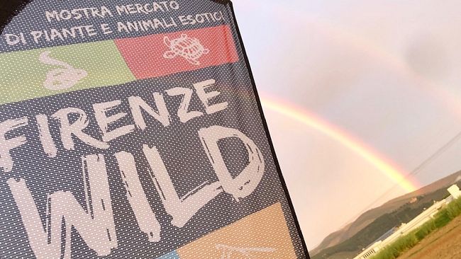 Firenze Wild, la mostra mercato di piante e animali esotici